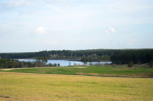 A wide shot of a farm and lake